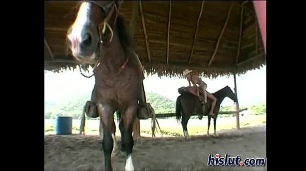 Populaire Fucking on Horse coole video's