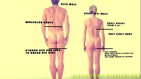 Populaire Shemale Aanatomy(Some kind of sissy-trainer coole video's