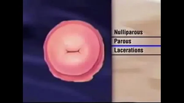 حار Female Vagina And Anus Check بارد أشرطة الفيديو